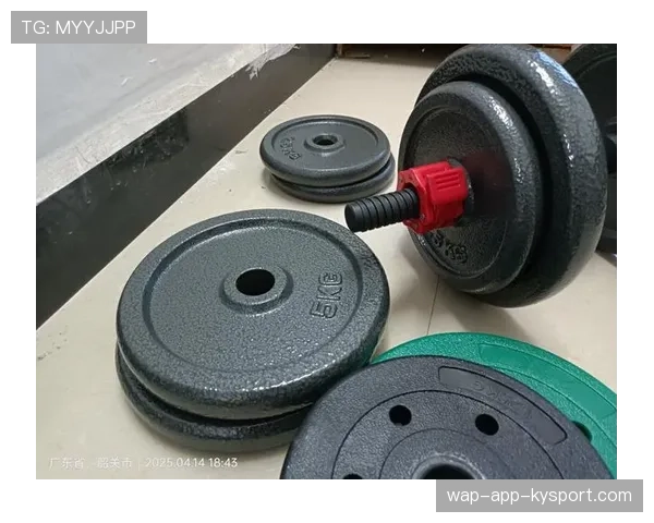 健身房杠铃片上的铁锈灰尘，杠铃片里面是铁吗